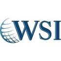 WSI for ALL company logo