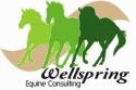 Wellspring Equine Consulting company logo