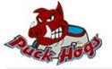 Puckhogs Hockey Training Centre company logo