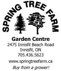 Spring Tree Farm Corp. company logo