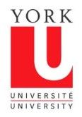 York University company logo