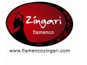 Flamenco Spanish Dance Classes company logo