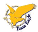 Team Eagle Ltd. company logo