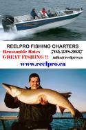 Reelpro Fishing Charters company logo