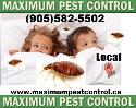 Maximum Pest Control Services. company logo