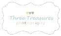 Three Treasures Photography company logo