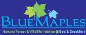 Blue Maples Natural Forest & Wildlife Habitat company logo