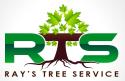 Ray's Tree Service company logo