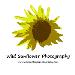 Wild Sunflower Photography