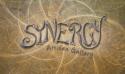 Synergy Artisan Gallery company logo