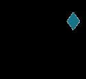 Diamond Shine Maid Svc company logo