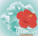 Hibiscus International company logo