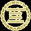 Butterflies & Roses company logo