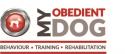 My Obedient Dog company logo