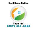 Mold Remediation Experts company logo