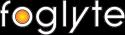 Foglyte Marketing Consulting & Services company logo