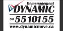 Dynamic Moving company logo