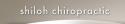 Shiloh Chiropractic Clinic company logo
