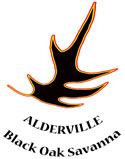 Alderville Black Oak Savanna Ecology Centre company logo