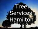 Tree Services Hamilton company logo