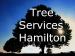 Tree Services Hamilton