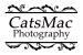 CatsMac Photography