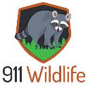911 Wildlife company logo