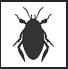 Pest In The City company logo