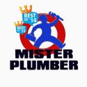 Mister Plumber company logo