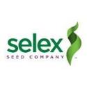Selex Seeds company logo
