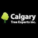 Calgary Tree Experts Inc. company logo