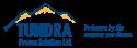 Tundra Process Solutions Ltd. company logo