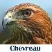 Chevreau Consulting Ltd.