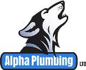 Alpha Plumbing Ltd. company logo