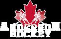 Anderson Hockey company logo