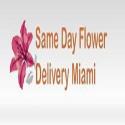Same Day Flower Delivery Miami company logo