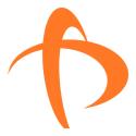 Paranet Solutions company logo