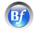 Borderflow Inc. company logo