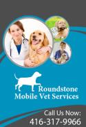 Roundstone Mobile Vet Services company logo