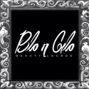 Blo N Glo Beauty Lounge company logo