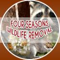 Four Seasons Wildlife Removal company logo