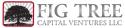FIG Tree Capital Ventures LLC company logo