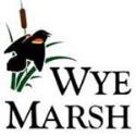 Wye Marsh Wildlife Centre company logo