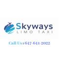 Skyway City Limo company logo
