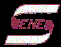 SENES Consultants Limited company logo