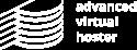 AVHoster.com company logo