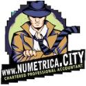 Numetrica company logo