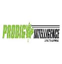 Prodigy Intelligence company logo