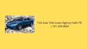  TLD Auto Title Loans Agency Halls TN  company logo