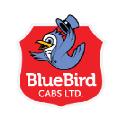 Bluebird Cabs Ltd. company logo